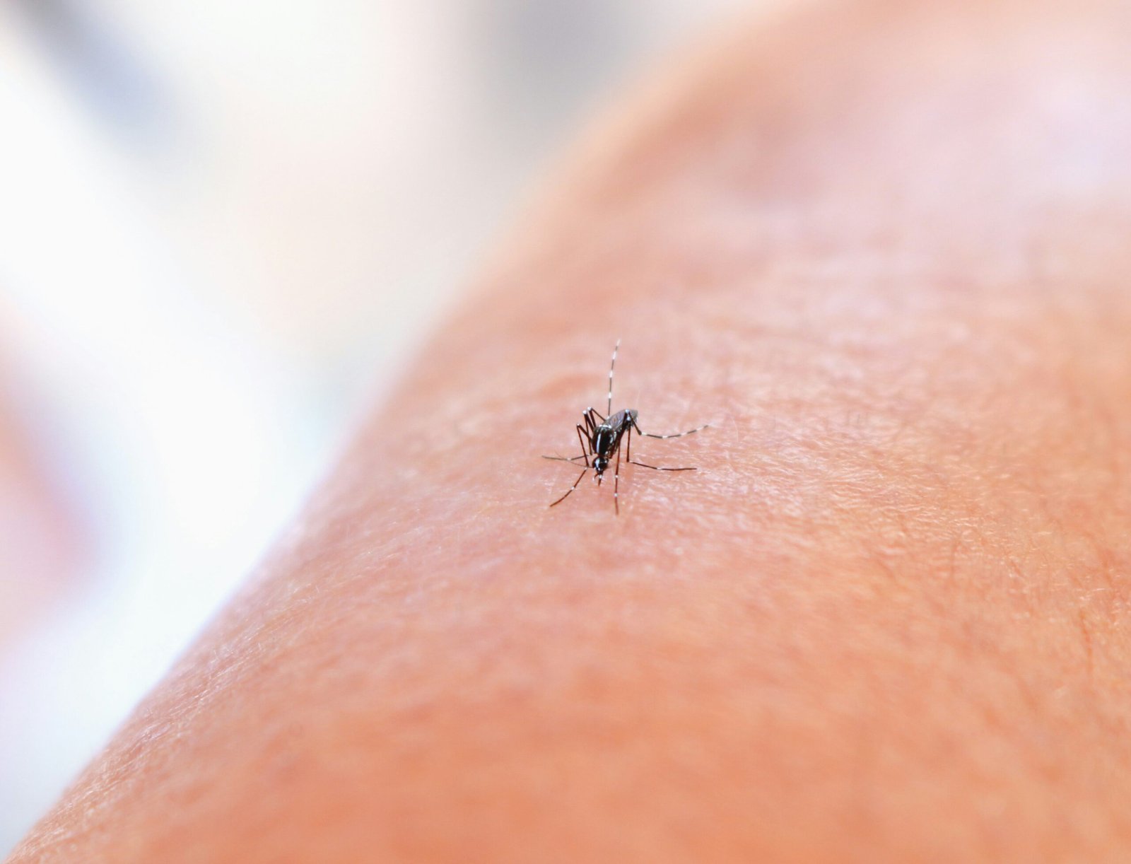 Dengue: estado do Rio tem melhora no cenário epidemiológico