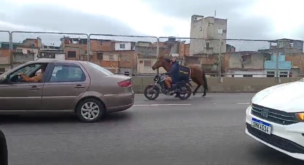 Vídeo: Cavalo aparece sendo guiado por um motoboy na Linha Amarela