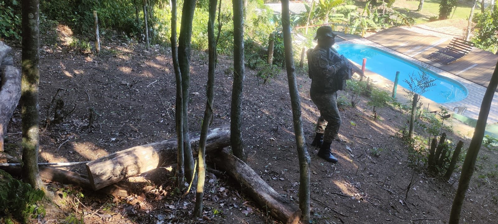 Denúncia de desmatamento leva policiais ao município de Maricá