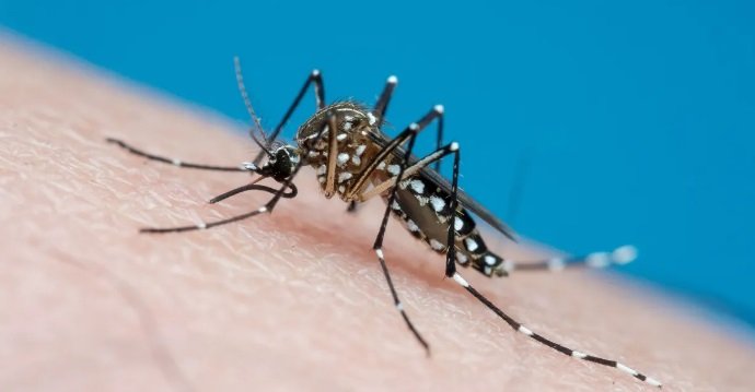 Vigilância Ambiental realiza ações contra o Aedes aegypti