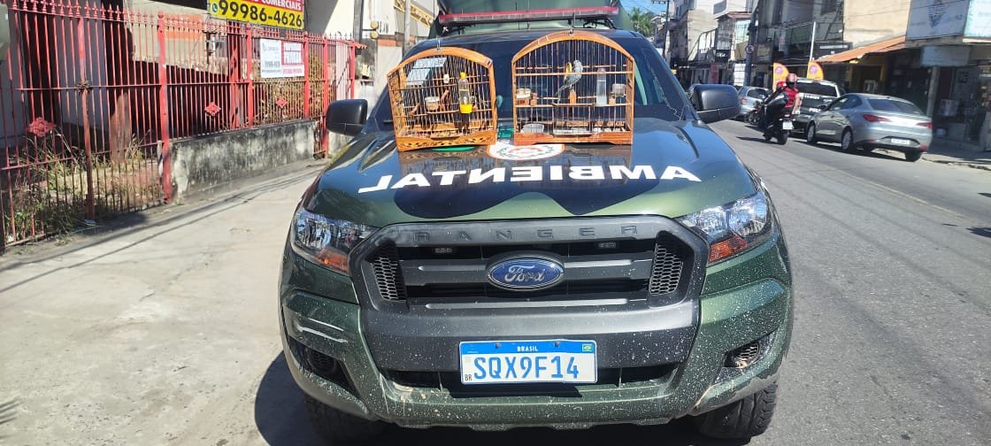 Aves são encontradas em cativeiro em São Gonçalo