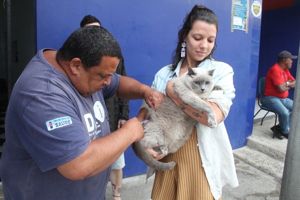 Mais de 58 mil animais são vacinados em sábado de vacinação antirrábica em São Gonçalo