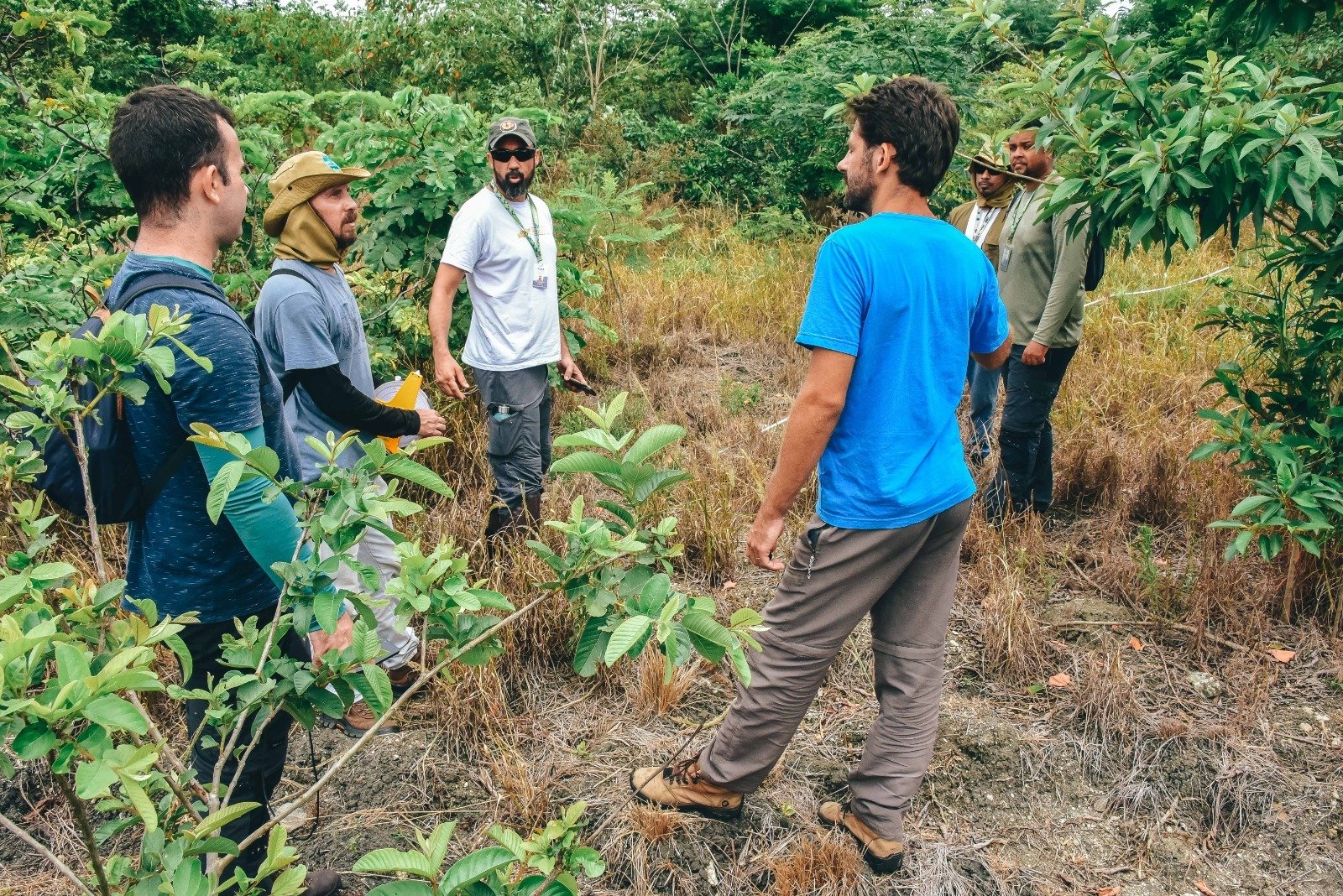 Parque Paleontológico de Itaboraí Avança na Recuperação Ambiental com 65 Mil Mudas Plantadas