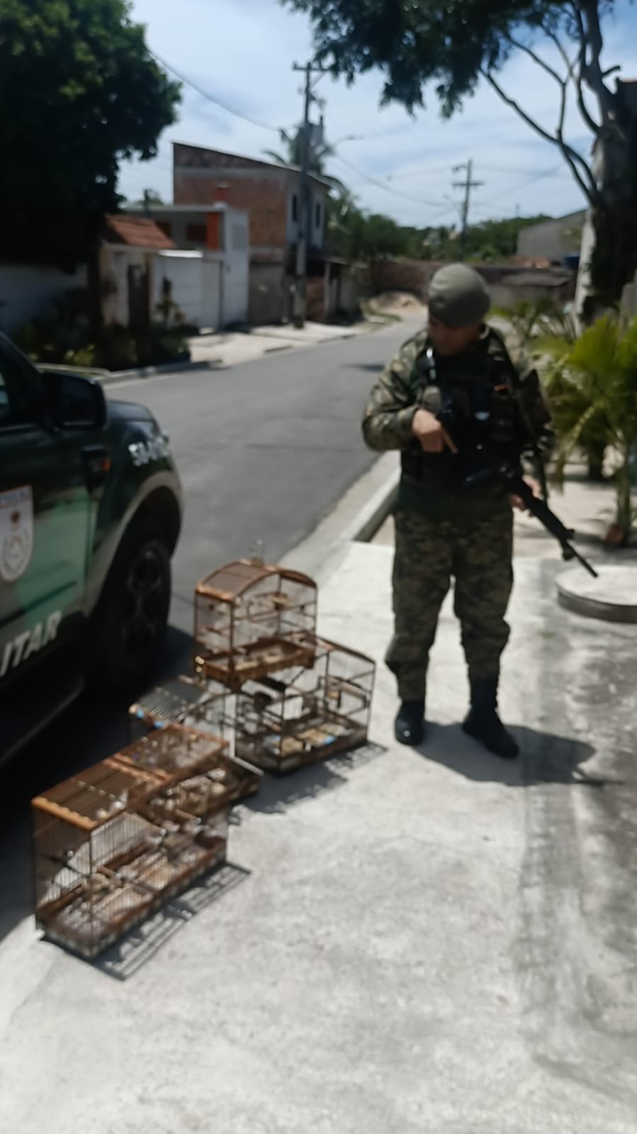 6ª UPAm resgata pássaros silvestres de cativeiro em Itaboraí 