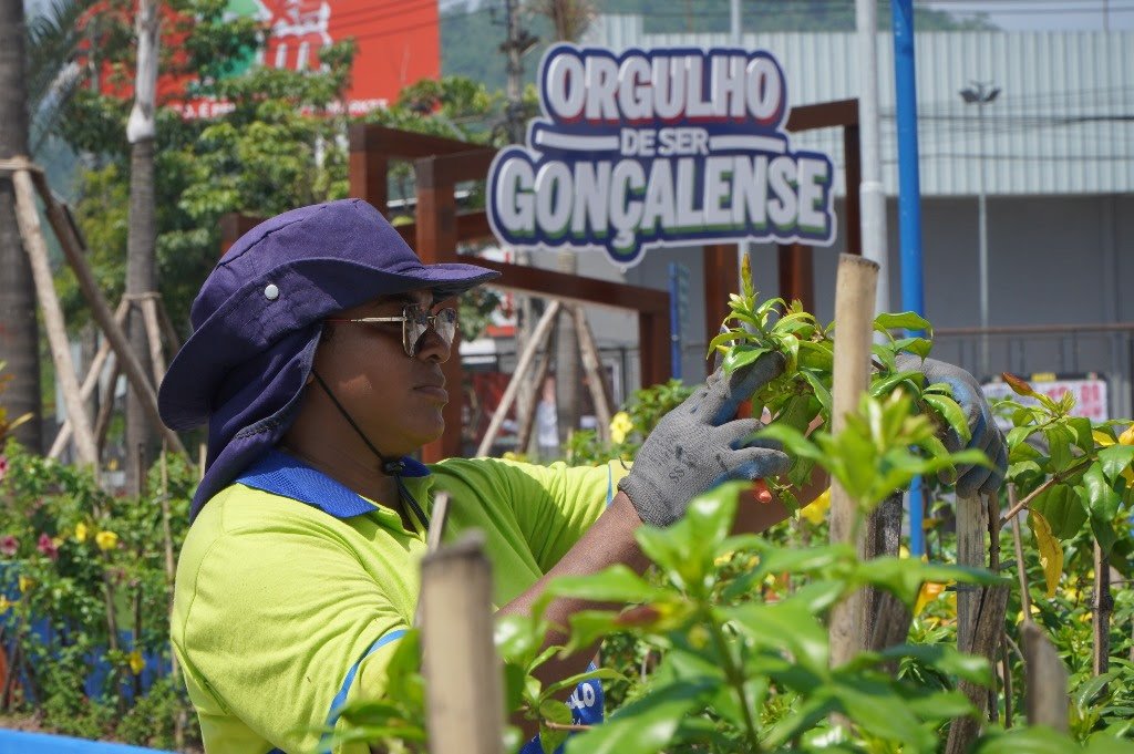 São Gonçalo prepara 3 mil mudas para plantios pela cidade neste início de ano