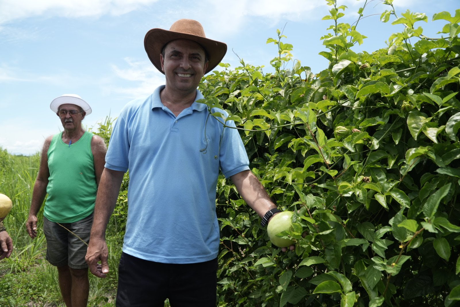 Agricultura em alta: Área rural gonçalense chama atenção com cultivo diversificado e criação de búfalos