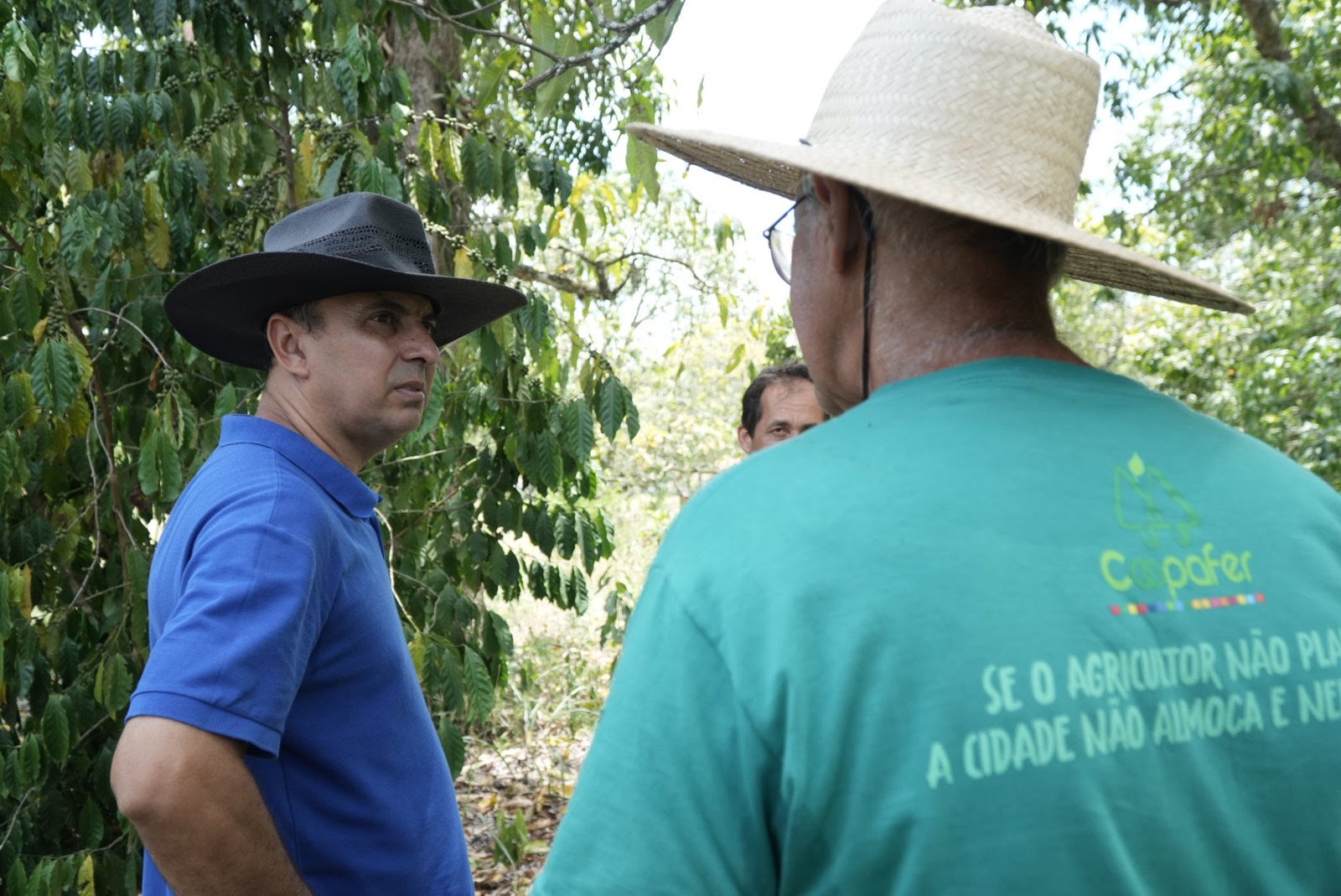 Tradição na agricultura gonçalense passa por gerações 