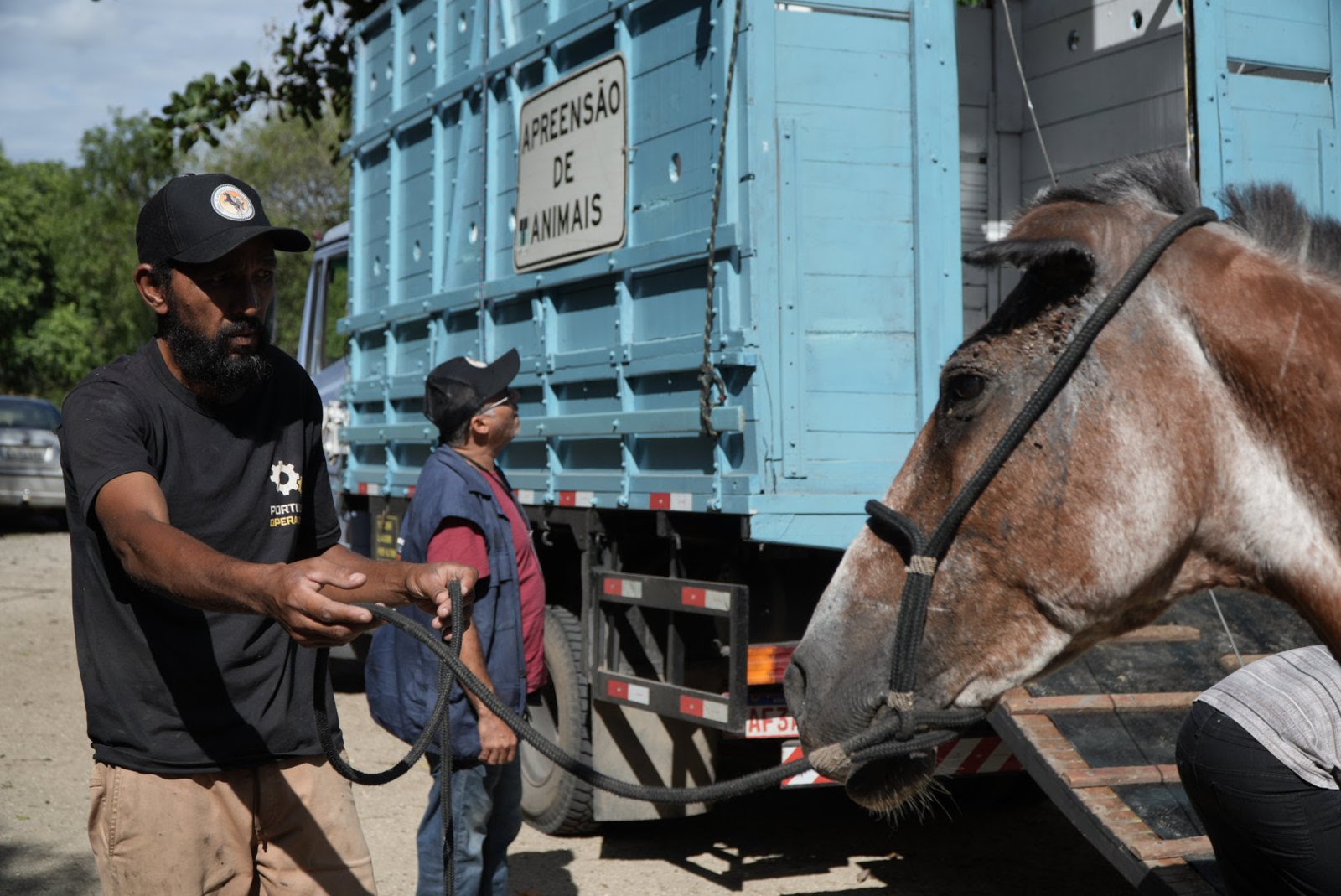 Prefeitura segue com credenciamento aberto para doação de animais de grande porte