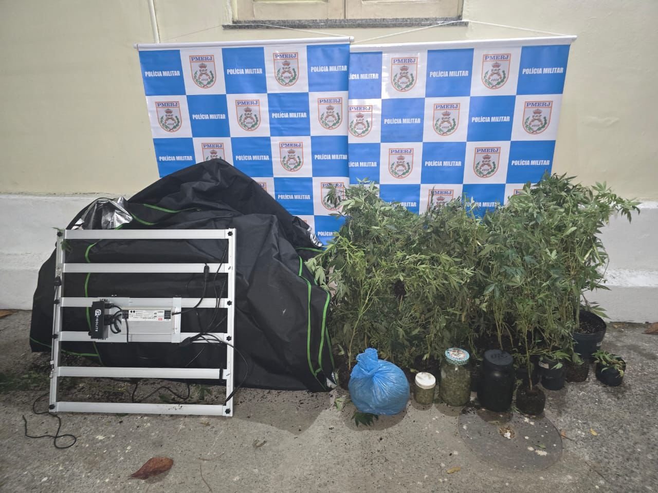 12ºBPM encontra estufas com plantas de maconha em casa na Vila Progresso, em Niterói