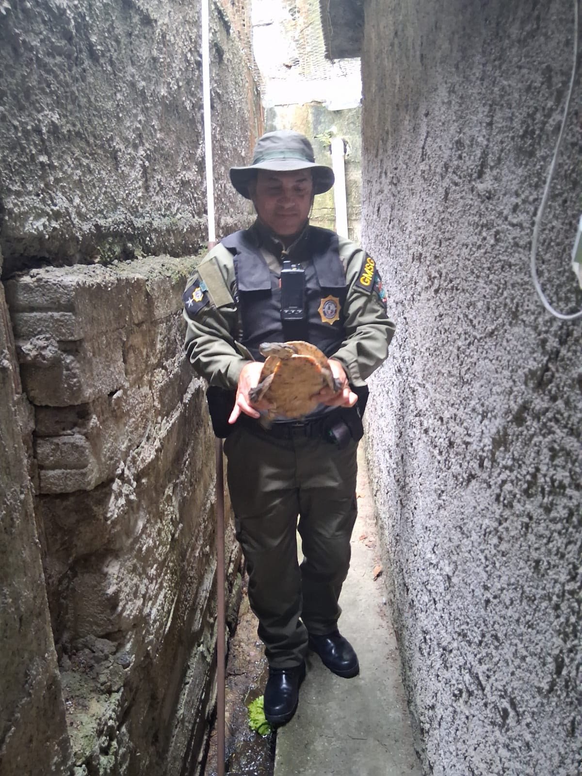ASAS realiza soltura de mais seis animais silvestres em seu habitat natural