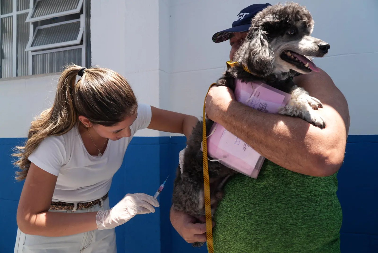 Secretaria de São Gonçalo bate meta na campanha de vacinação antirrábica