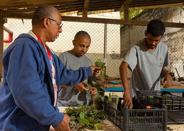 Oficina de Jardinagem é garantia de atividade complementar na Pestalozzi