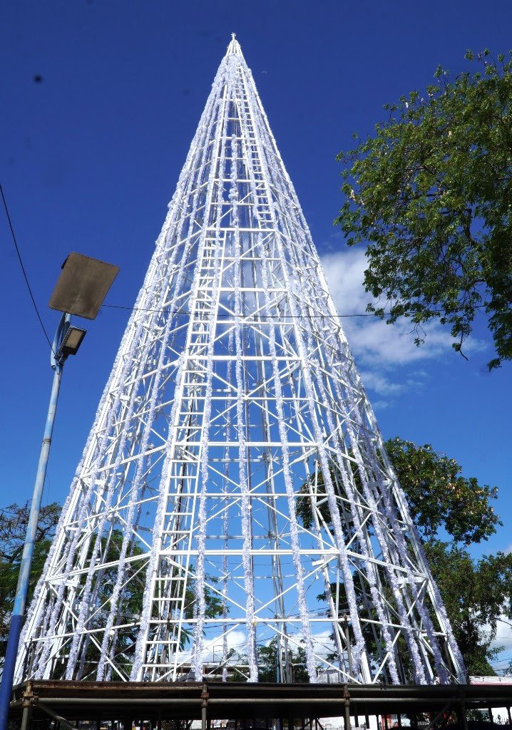 Inauguração da Árvore de Natal promete noite mágica em São Gonçalo, na Trindade