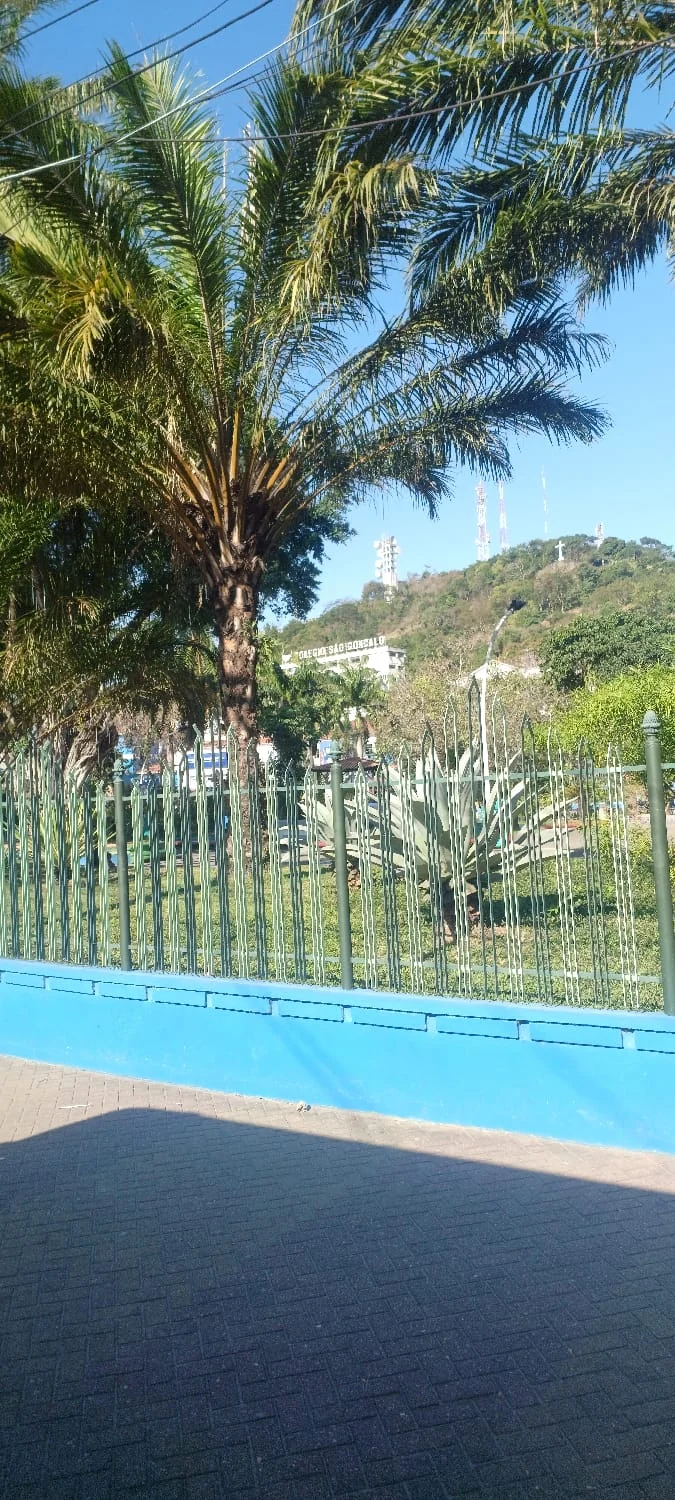 Parceria em São Gonçalo leva evento especial de Natal na Praça do Zé Garoto