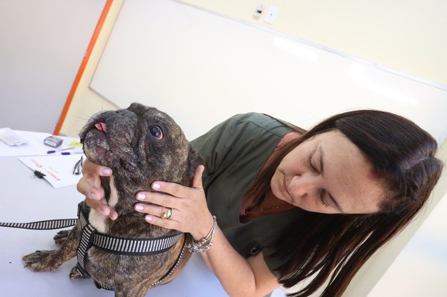 Prefeitura oferece serviços veterinários gratuitos no Fonseca