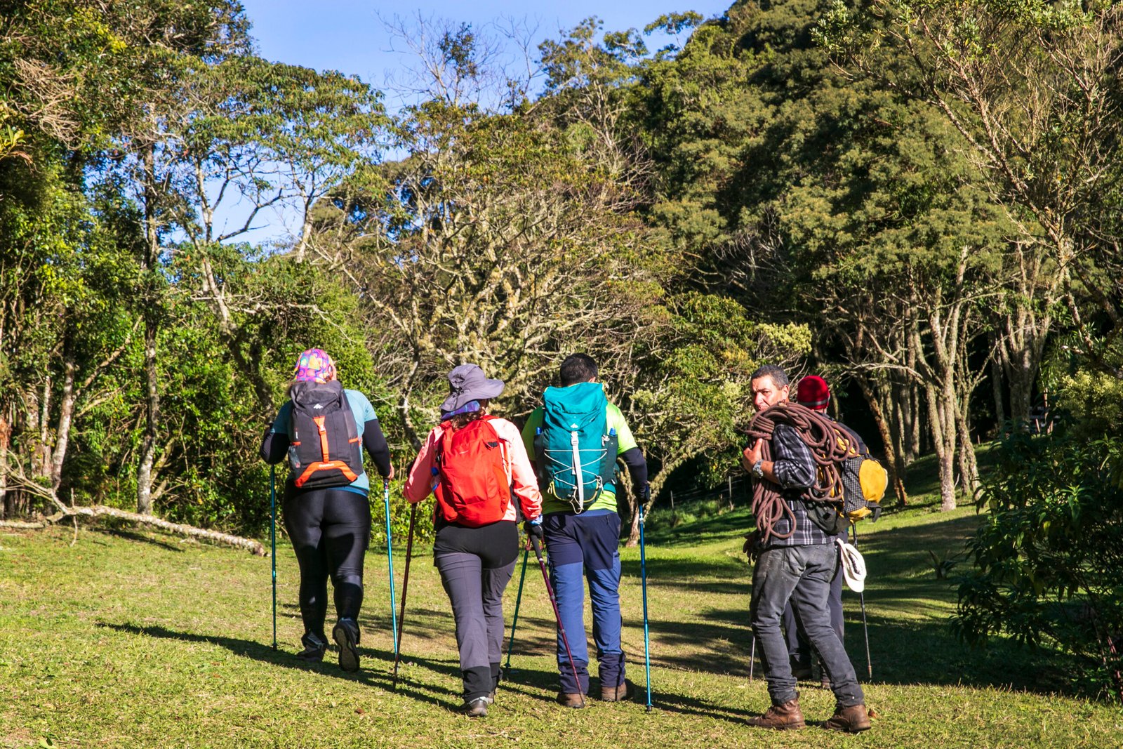 Parques Estaduais Ambientais: um refúgio para escapar da agitação