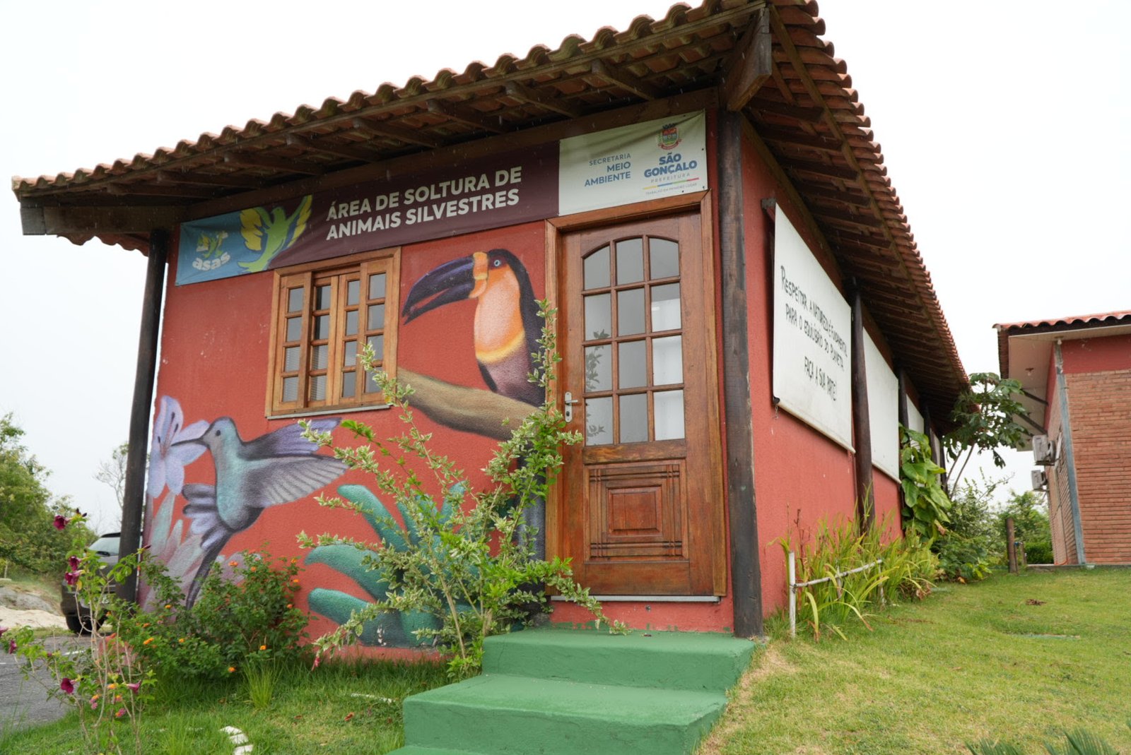 Desde a inauguração, ASAS já cuidou de 5 mil animais silvestres