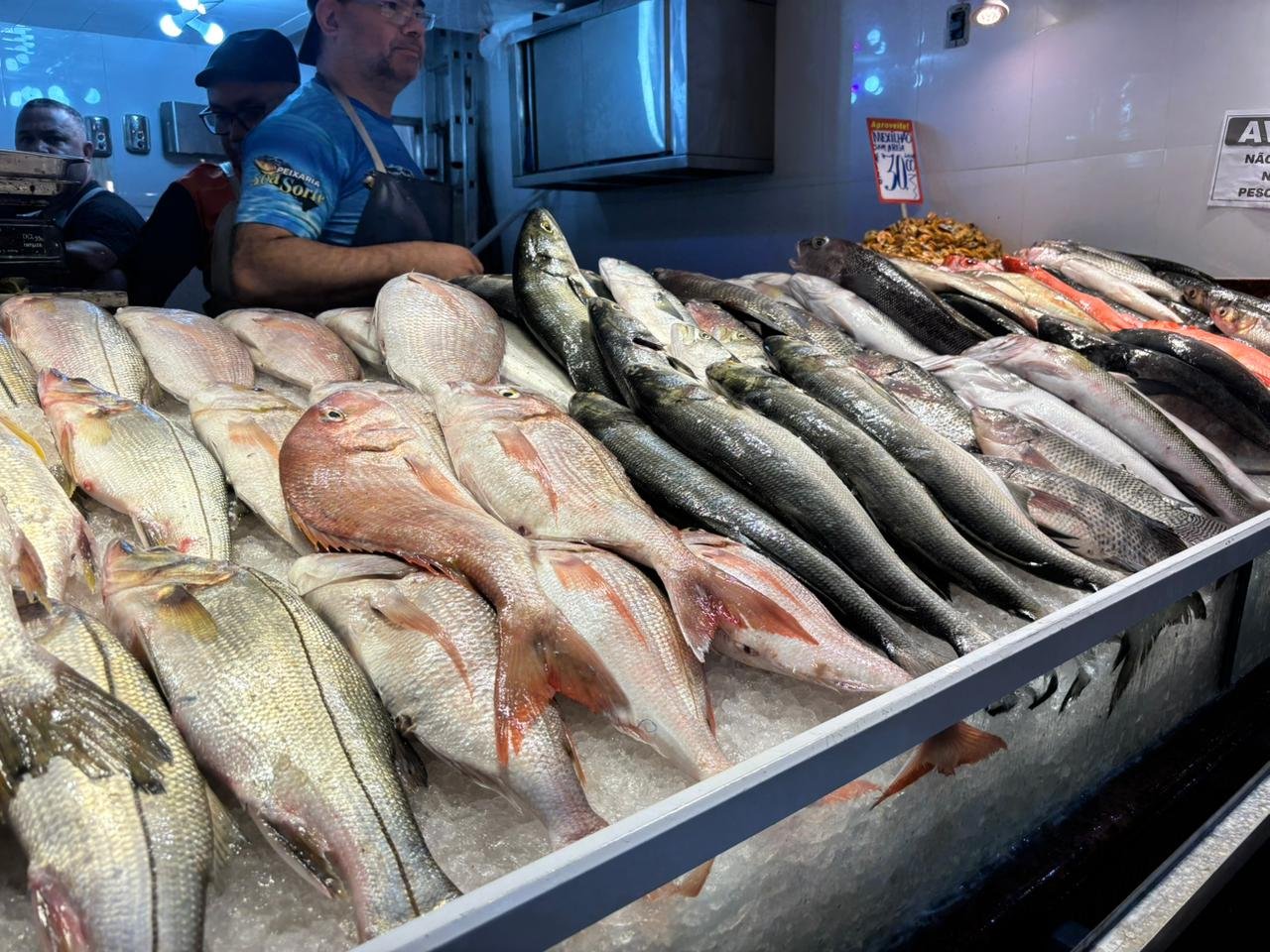 De olho no peixe: Estado reforça segurança para quem vai comprar pescado na Páscoa