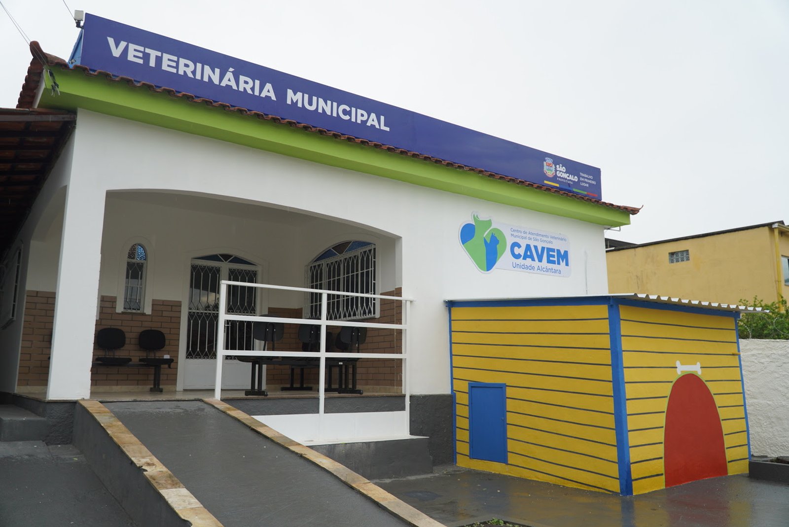 Prefeitura de São Gonçalo oferece mais de mil vagas para castração de cães e gatos este mês