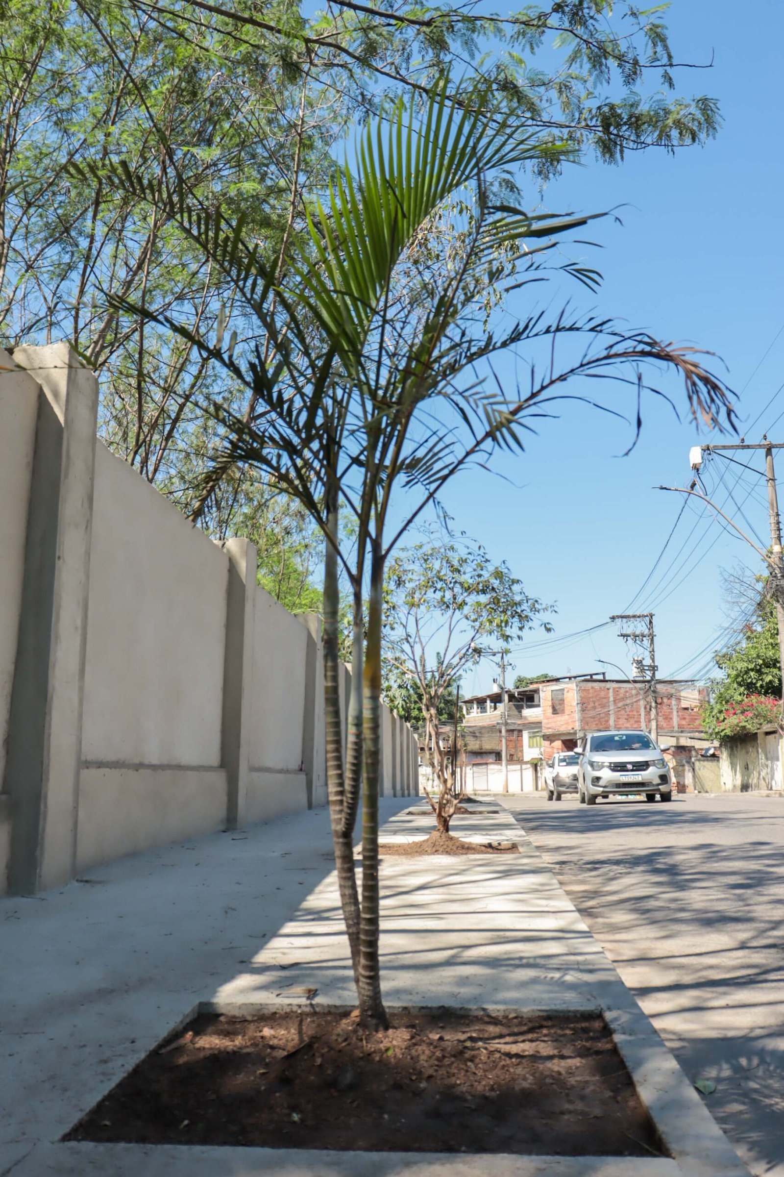 Calçadas do Mutuapira recebem paisagismo durante obras de revitalização