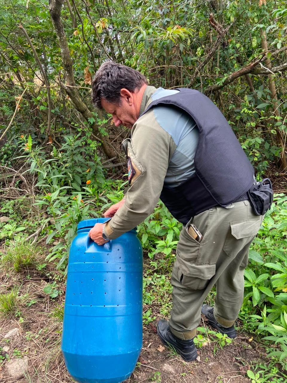ASAS realiza soltura de jiboia em seu habitat natural 