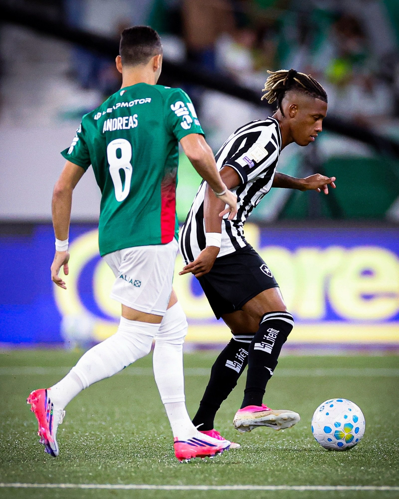 Botafogo segura o Palmeiras, empata no Nilton Santos e tira rival da liderança